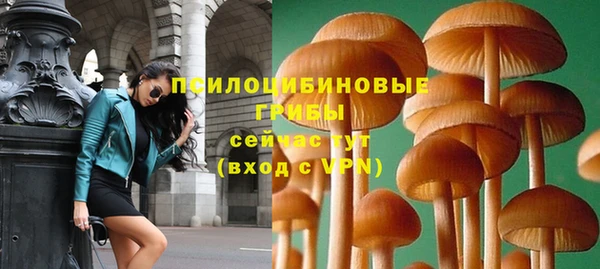 скорость Арсеньев